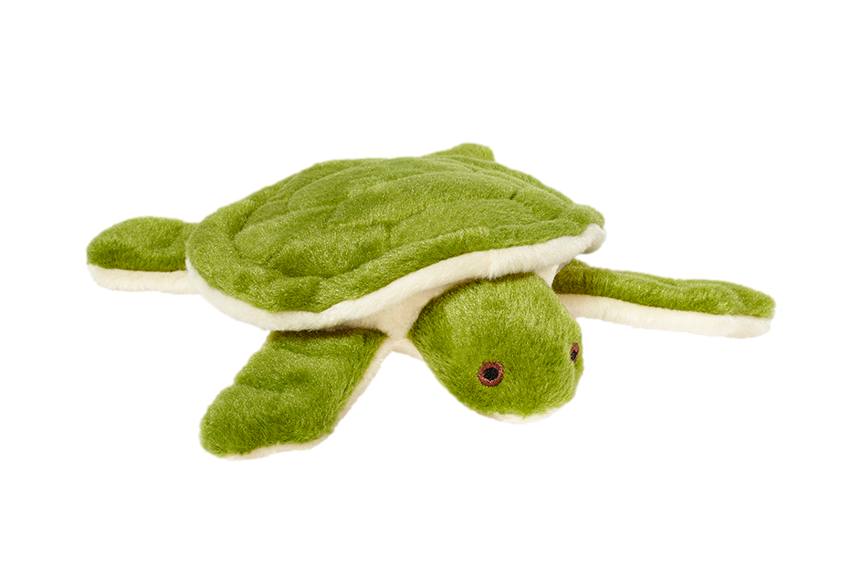 Esmeralda Turtle