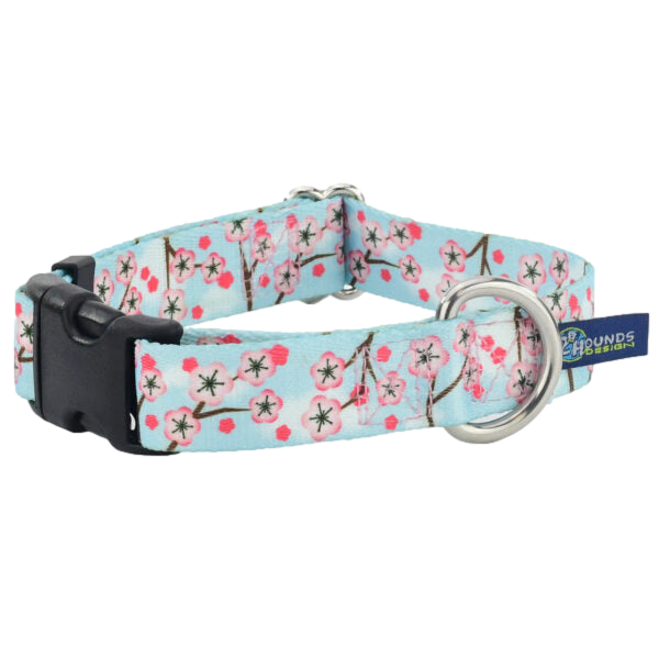 LARGE EarthStyle Collars (Made from Recycled Plastic Bottles) -- Assorted Designs