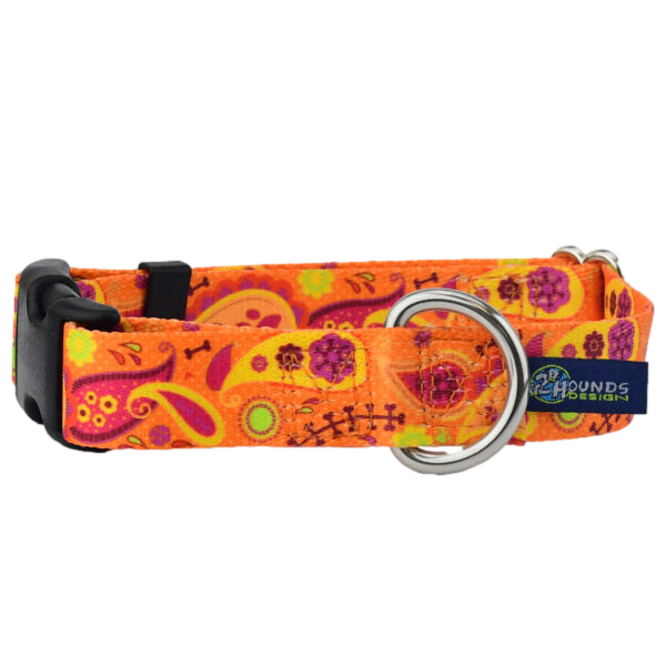 LARGE EarthStyle Collars (Made from Recycled Plastic Bottles) -- Assorted Designs