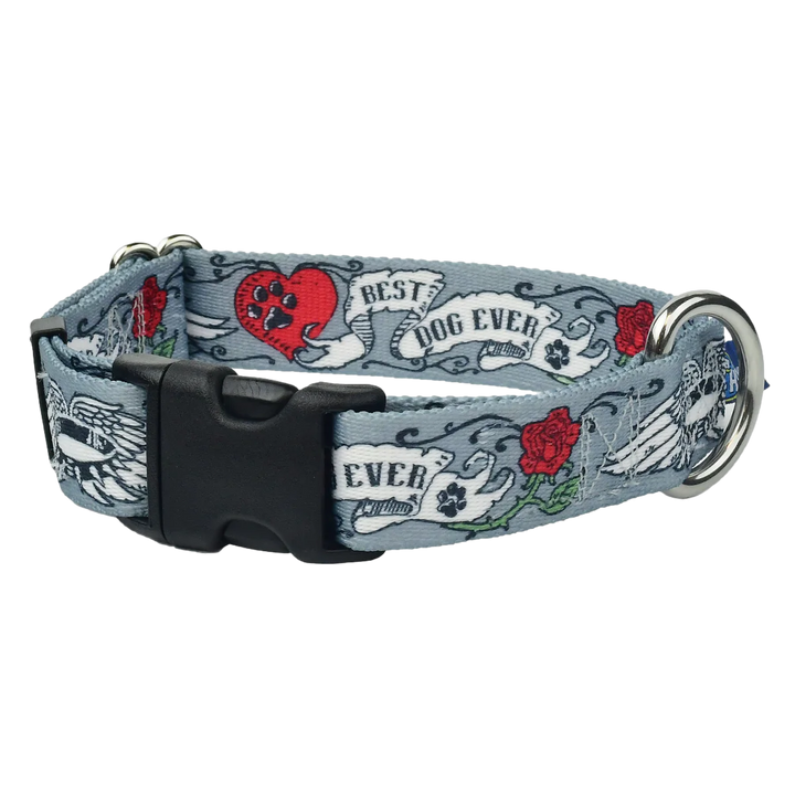 LARGE EarthStyle Collars (Made from Recycled Plastic Bottles) -- Assorted Designs