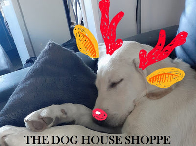The Dog House Shoppe
