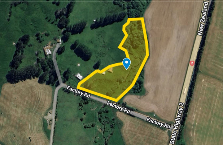 MLD Private Dog Field Hire -- The Stream Explorer