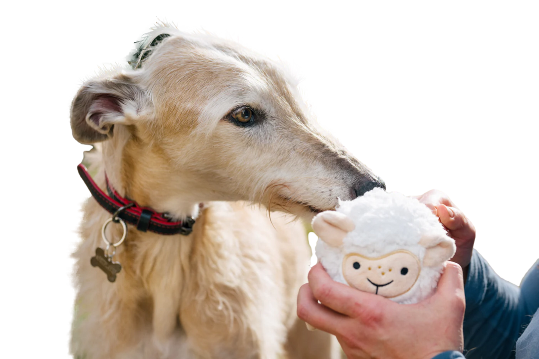 P.L.A.Y. Barnyard Buddies -- Sadie the Sheep