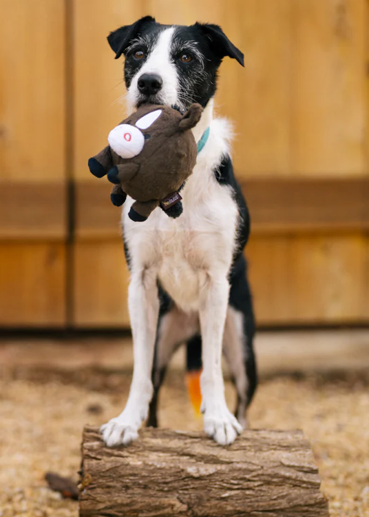 P.L.A.Y. Barnyard Buddies -- Harley the Horse