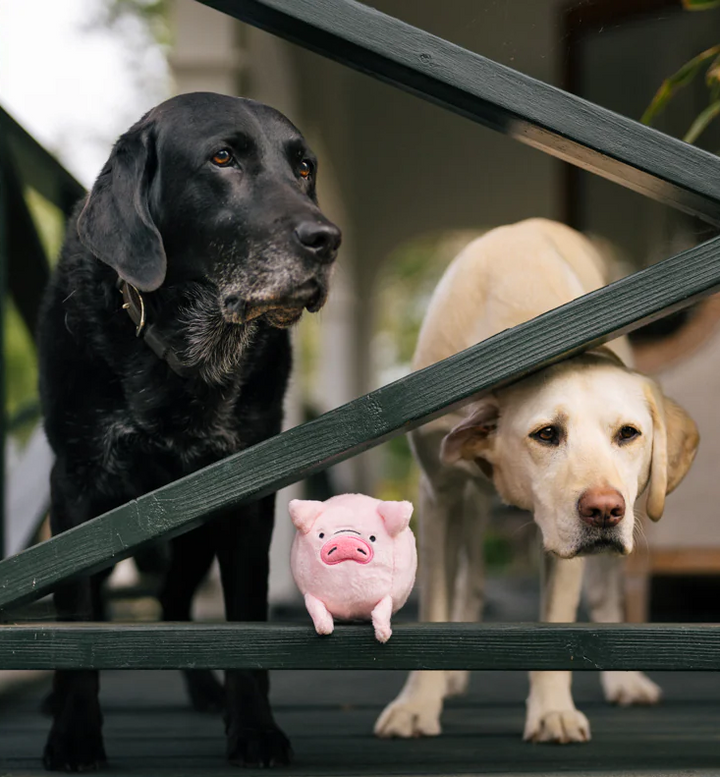 P.L.A.Y. Barnyard Buddies -- Paul the Pig