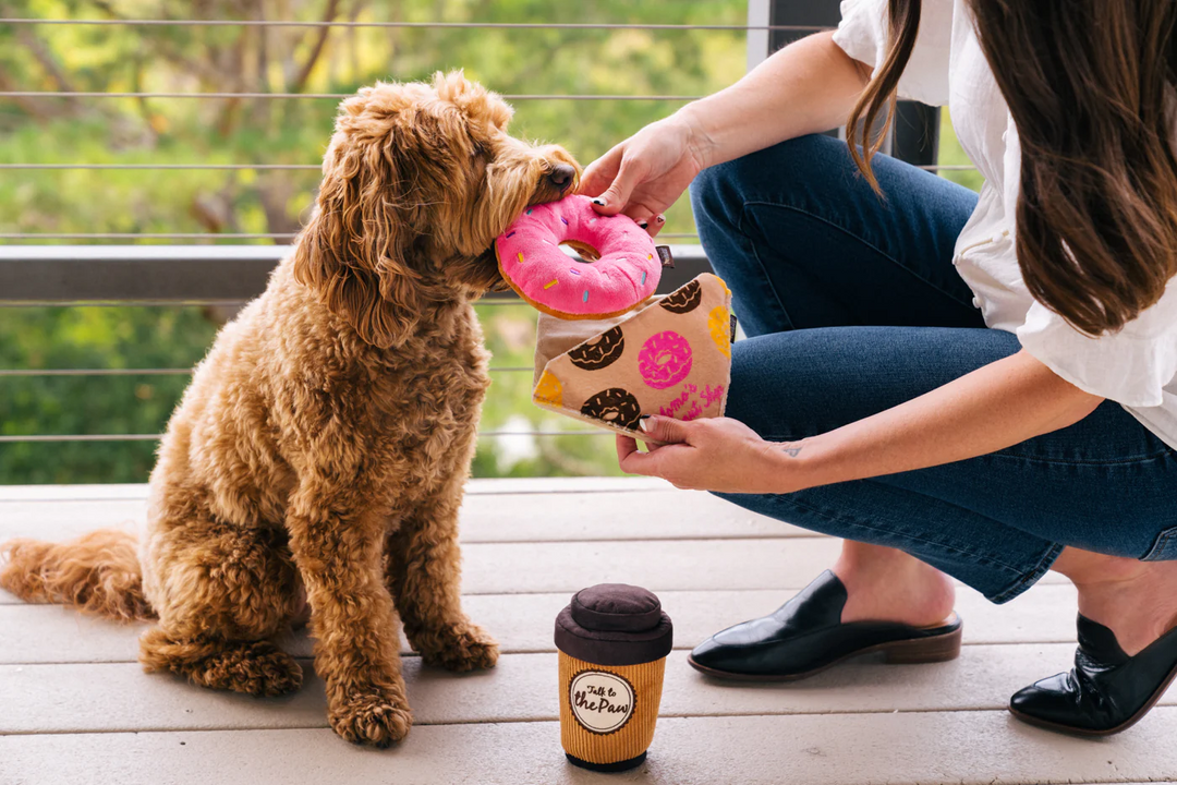 P.L.A.Y. Pup Cup Cafe Doggo's Java