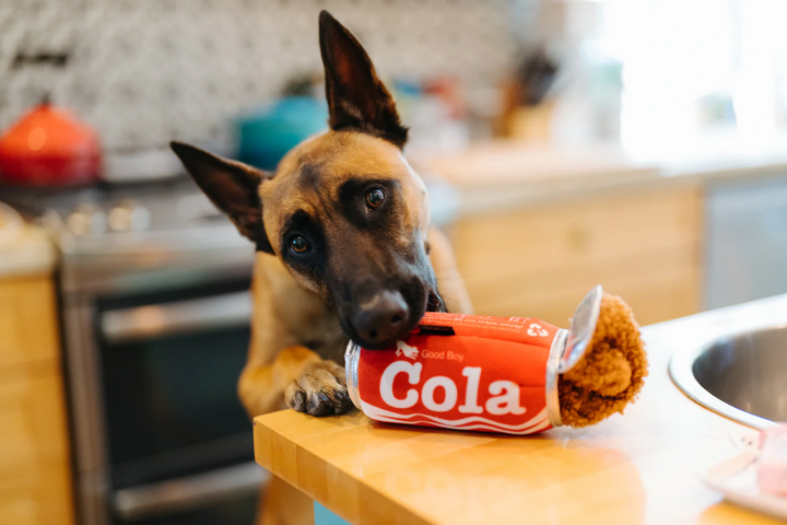 P.L.A.Y. Snack Attack Good Boy Cola