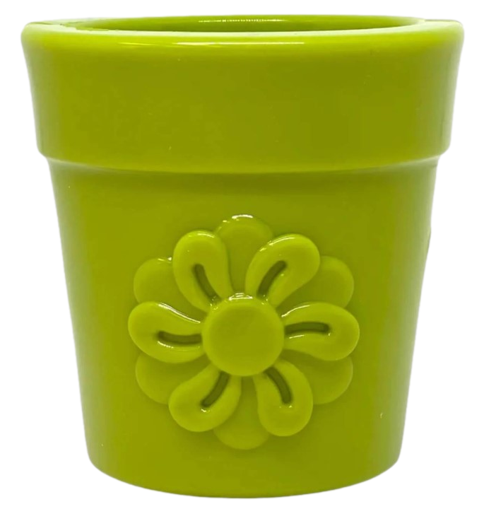 Flower Pot