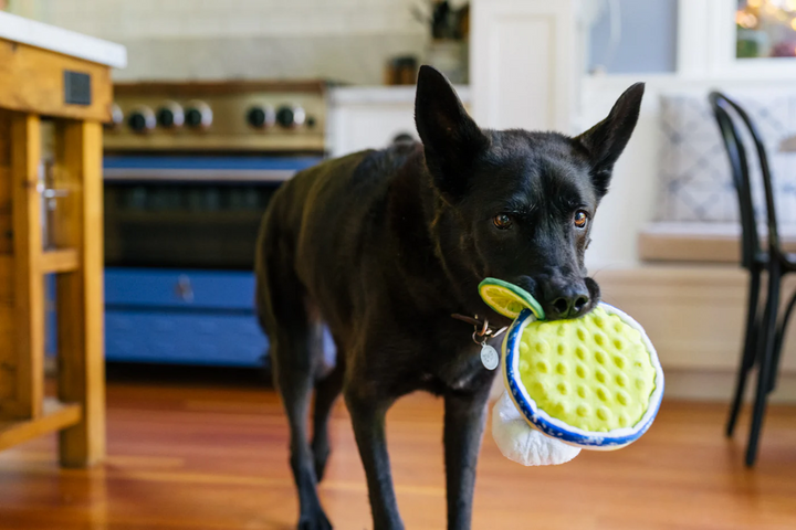 P.L.A.Y. Barktender Pup-arita