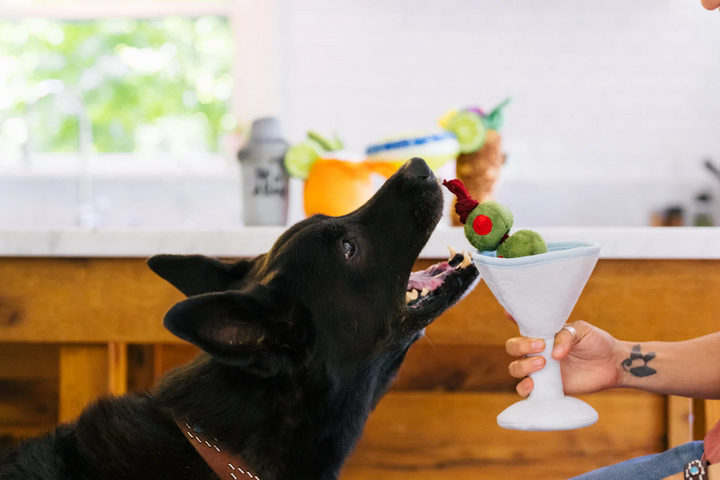 P.L.A.Y. Barktender Pawtini