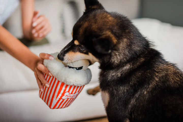 P.L.A.Y. Hollywoof Cinema Poppin' Pupcorn