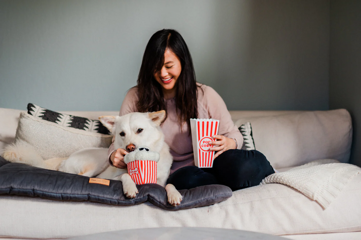 P.L.A.Y. Hollywoof Cinema Poppin' Pupcorn