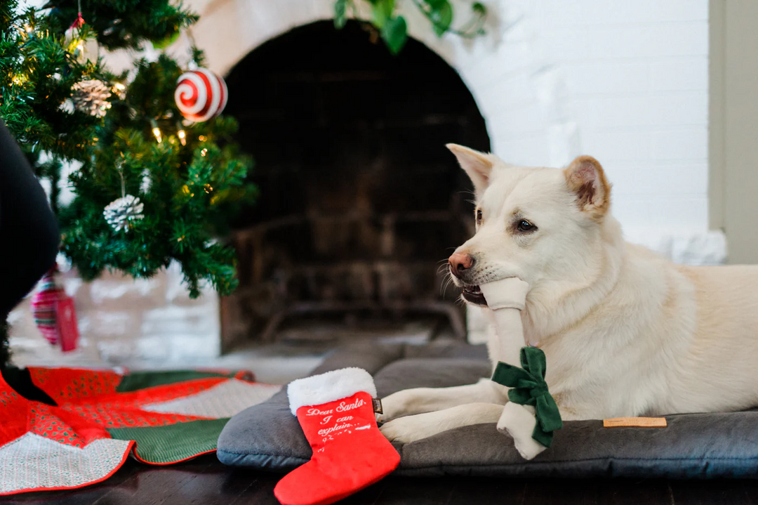 P.L.A.Y. Merry Woofmas Good Dog Stocking