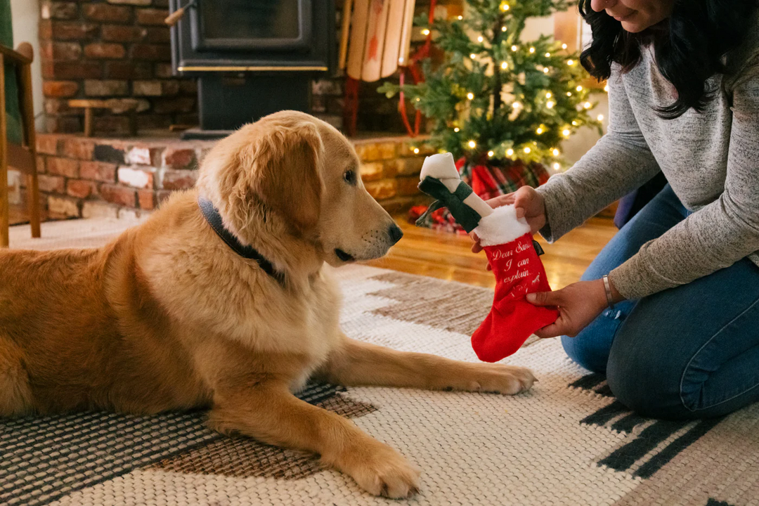 P.L.A.Y. Merry Woofmas Good Dog Stocking