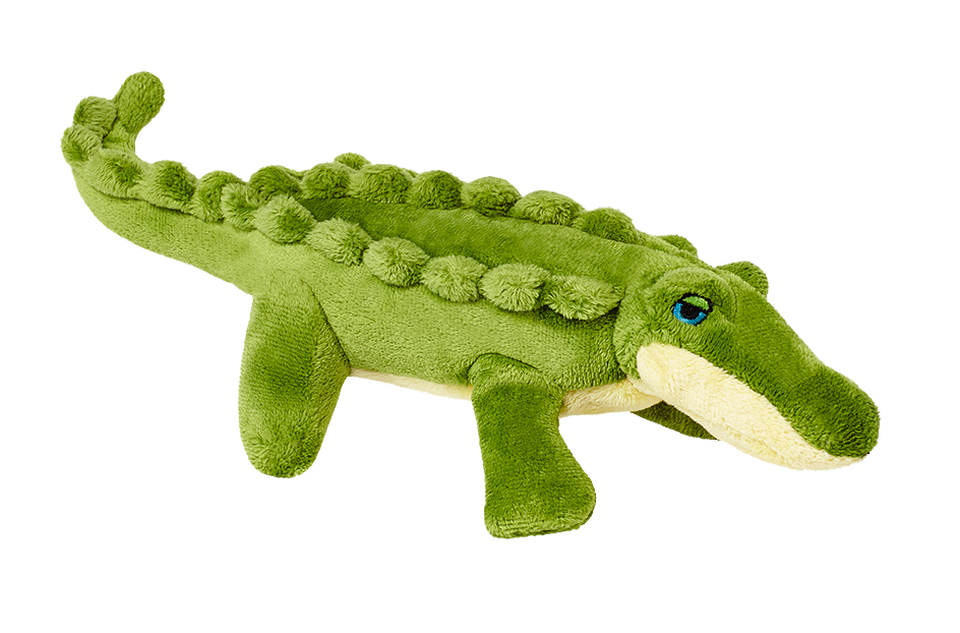 Savannah Baby Gator