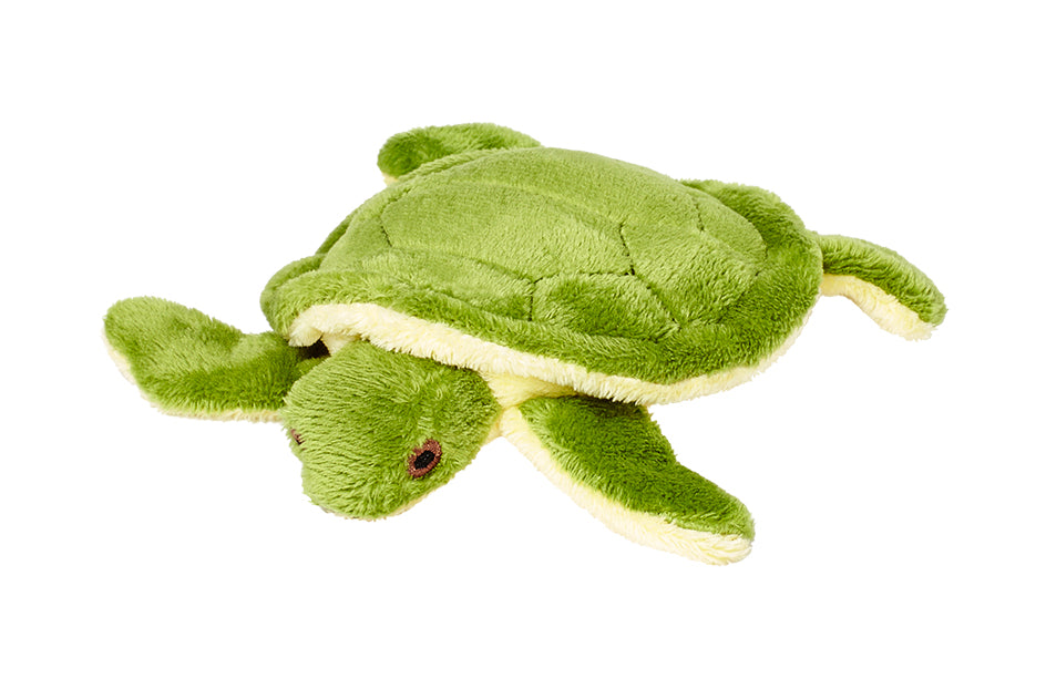 Shelly Turtle