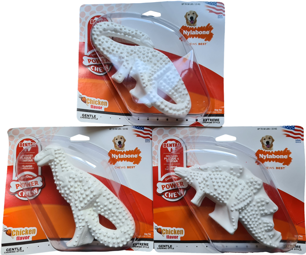 Nylabone Dental Dinosaur The Dog House Shoppe