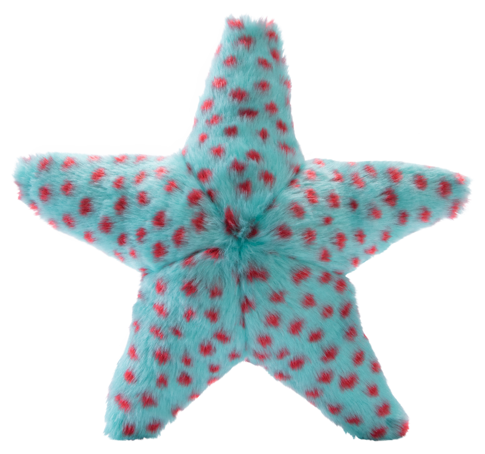 Ally Starfish