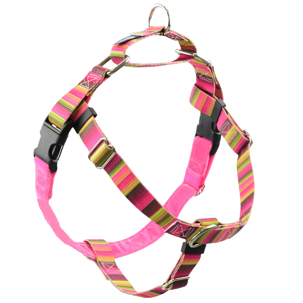 SMALL Freedom No-Pull Harnesses -- Assorted