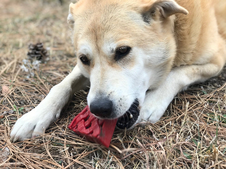 Cherry Pie Power Chew Toy