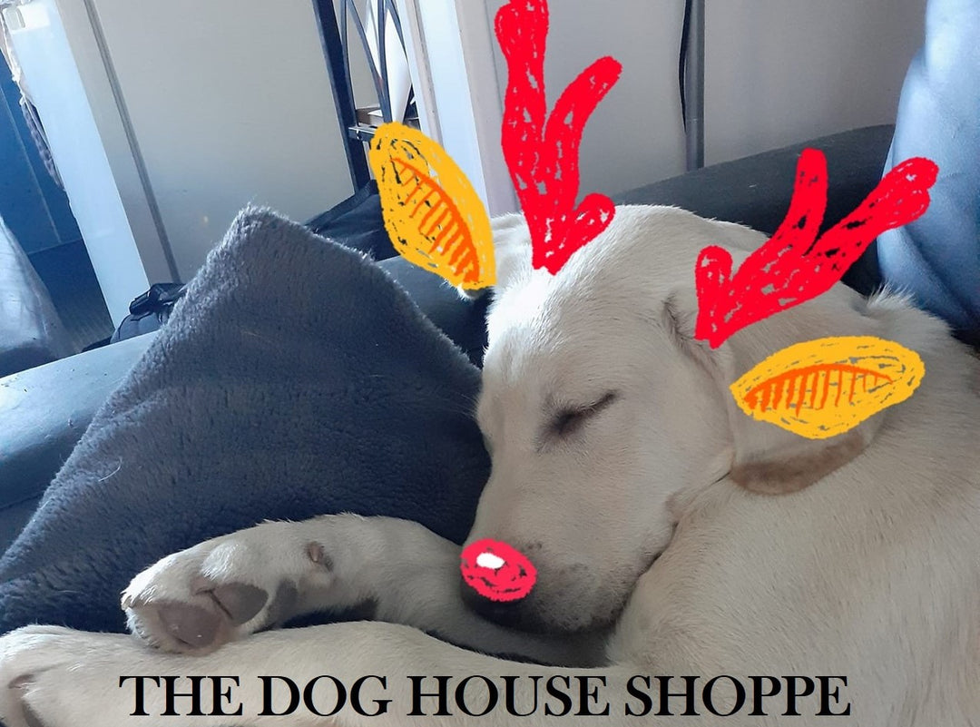 The Dog House Shoppe Gift Card