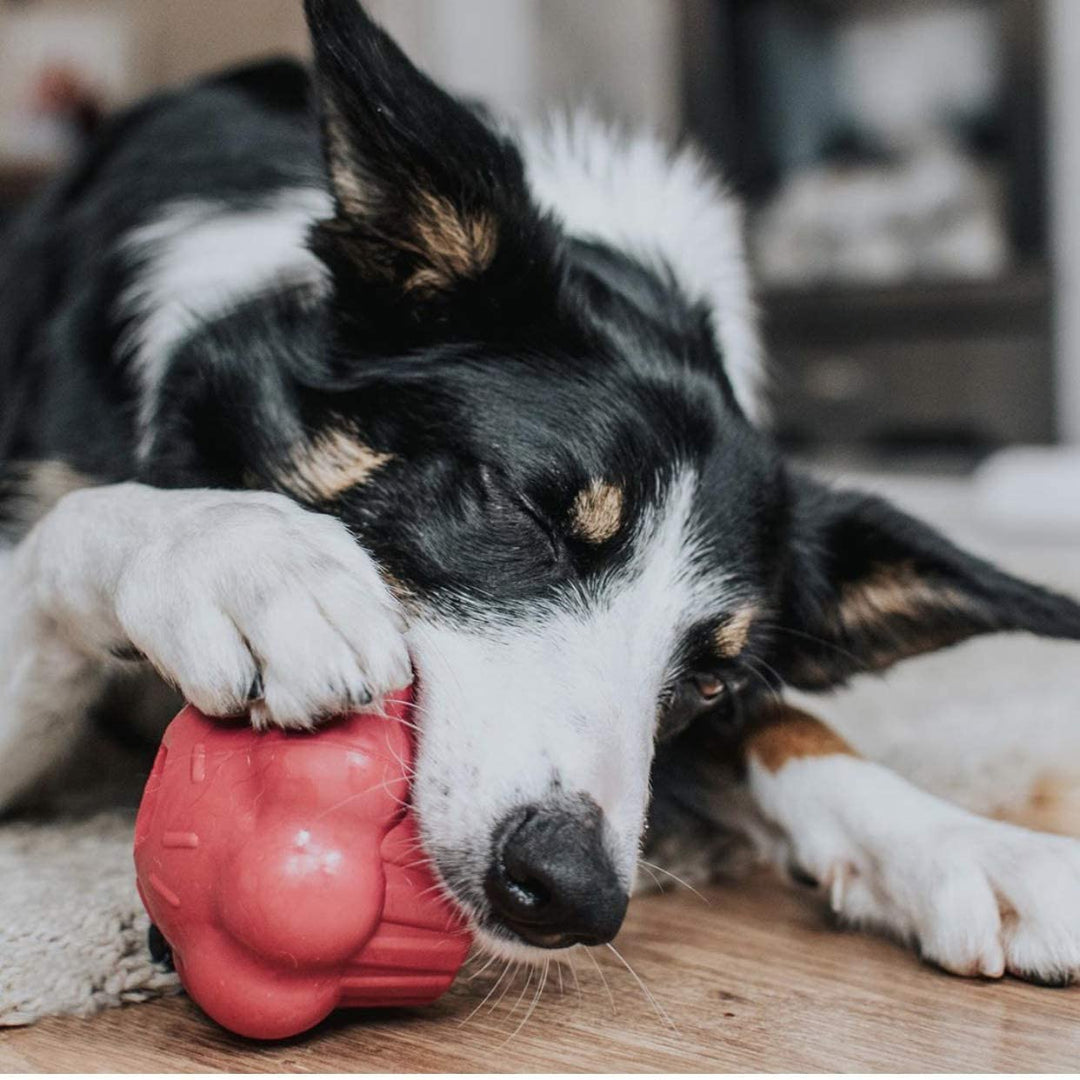 Cupcake Toy