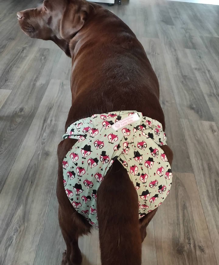 LARGE Pupstar Pants