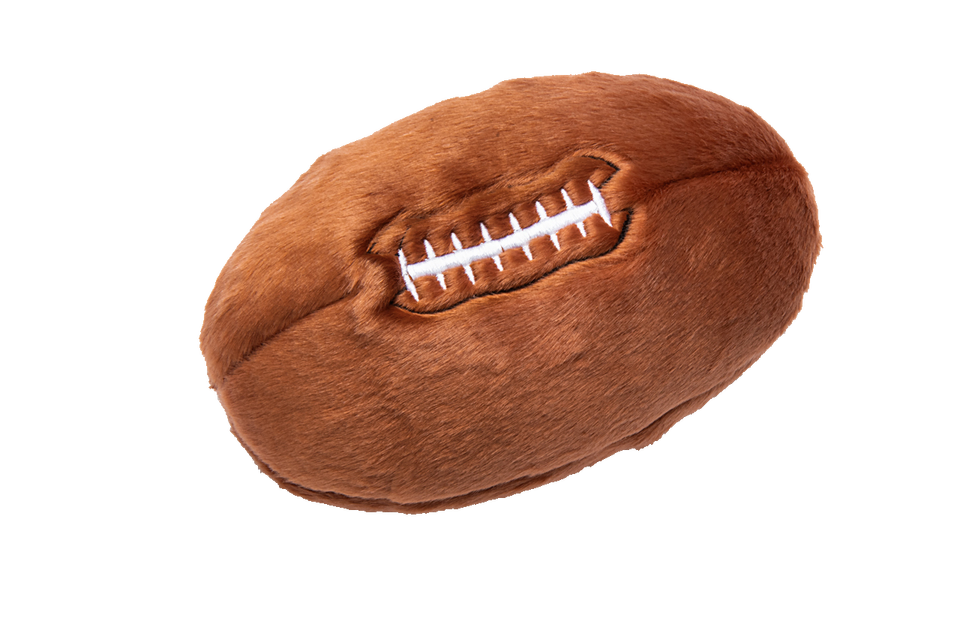 American Football or Rugby Ball