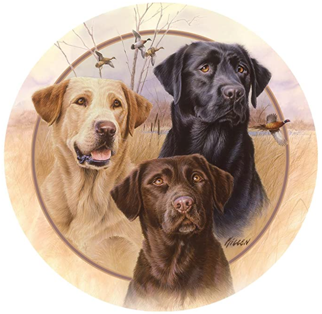 Trio of Hunting Labs Drink Coasters