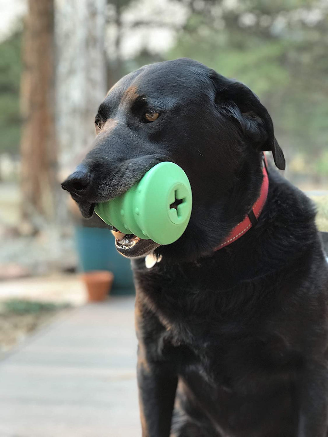 Christmas Tree Toy