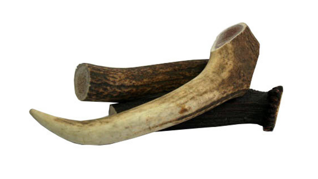 Platinum Deer Antler