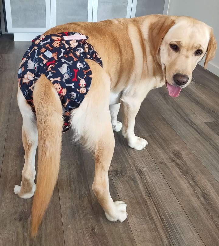 MEDIUM Pupstar Pants