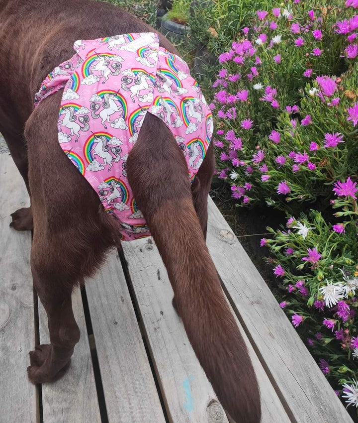 LARGE Pupstar Pants