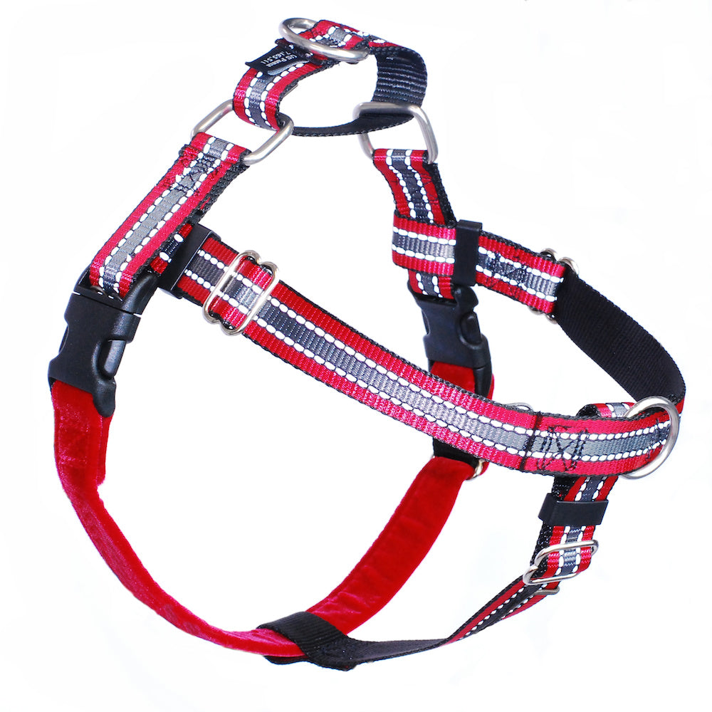 LARGE Freedom No-Pull Harnesses -- Assorted