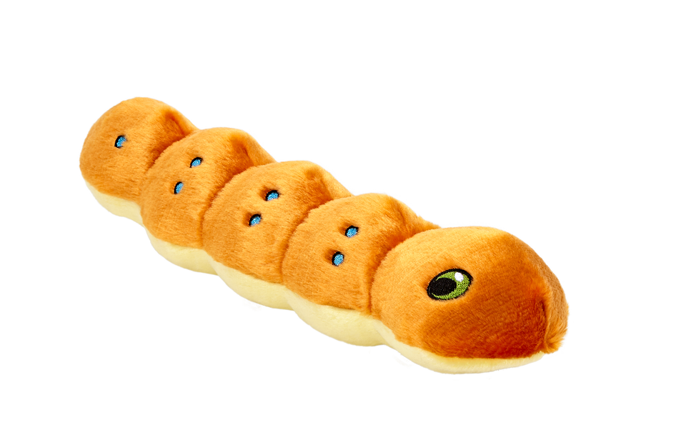 Spicy Caterpillar