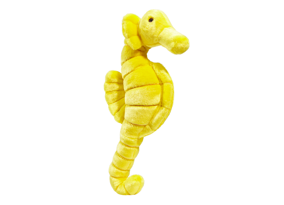 Stella Seahorse