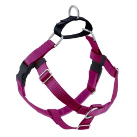 MEDIUM Freedom No-Pull Harnesses -- Assorted